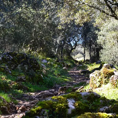 Hébergement de vacances Casa Isabel Zuheros